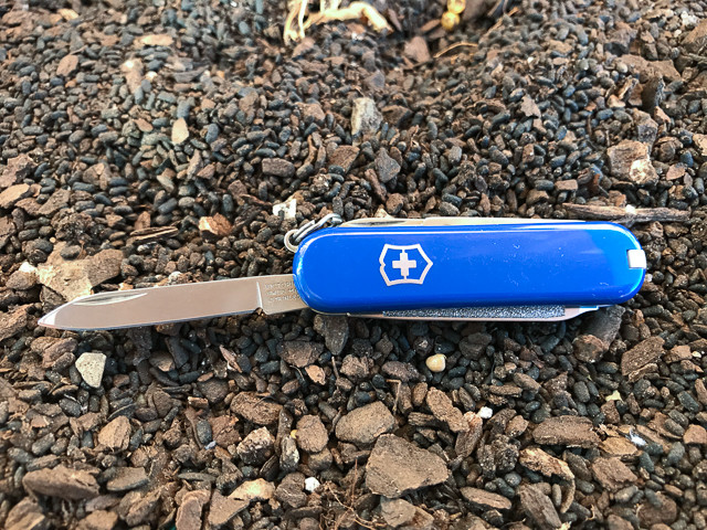 Victorinox Classic SD Review: Knife blade